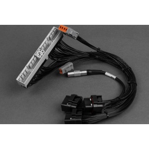 EMtron R32-R33 GTR Patch Harness to KV Series ECU